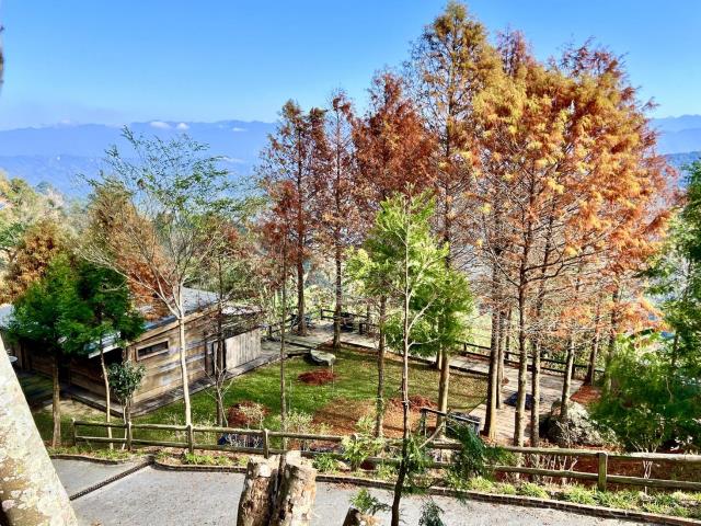 南投國姓農地-2