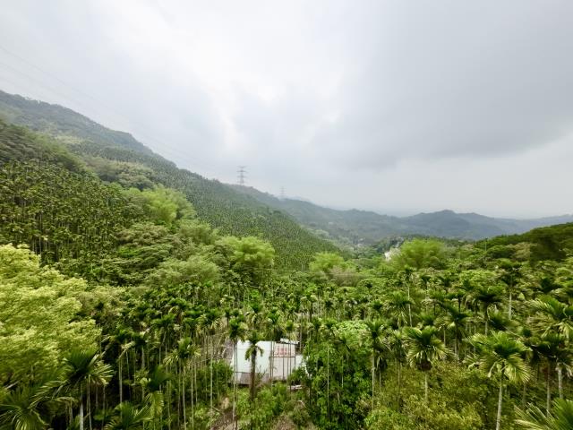 南投草屯農地-0