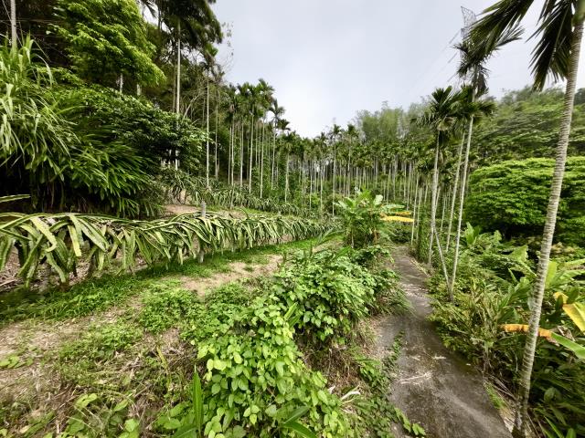 南投草屯農地-5