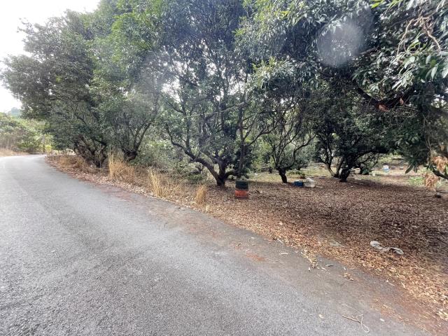 南投南投市農地-2