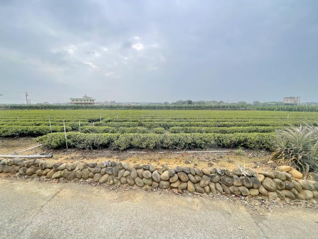 南投名間農地-2