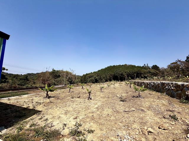 鹿谷農地-0