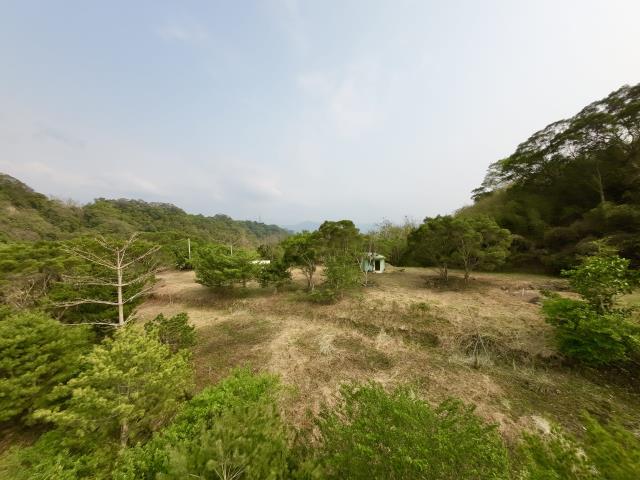 南投農地-10