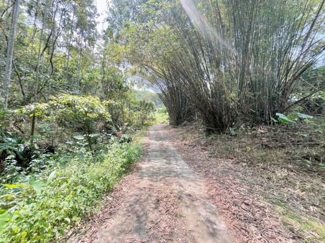 南投中寮農地-0