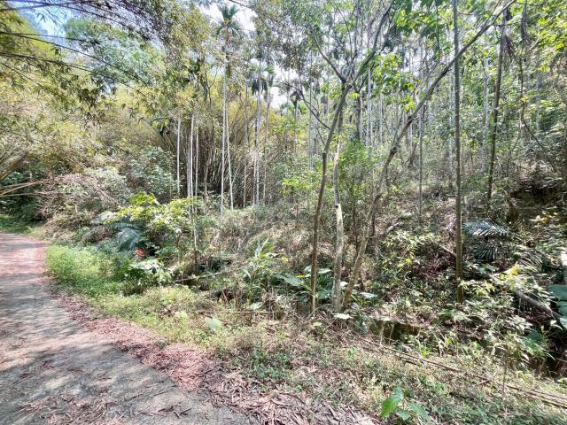 南投中寮農地-2