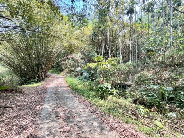 南投中寮農地-4