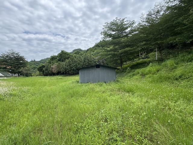 南投名間農地-0