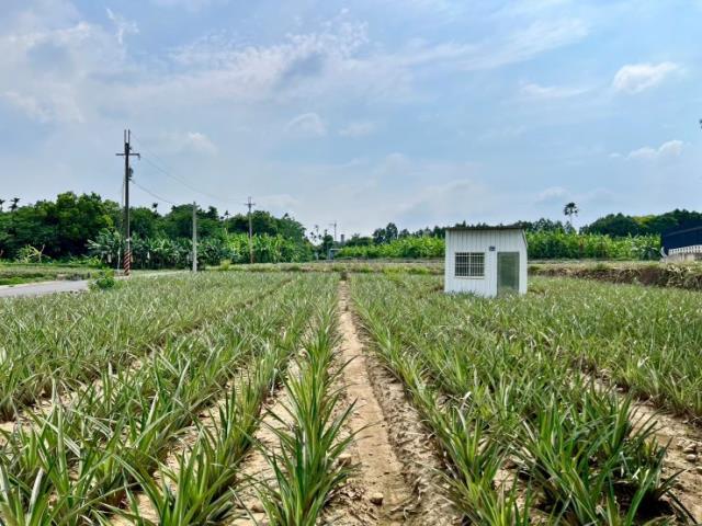 名間農地-3