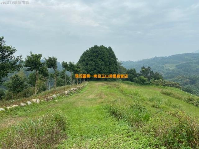 南投農地-9