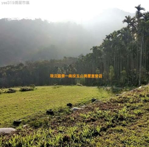 南投農地-2