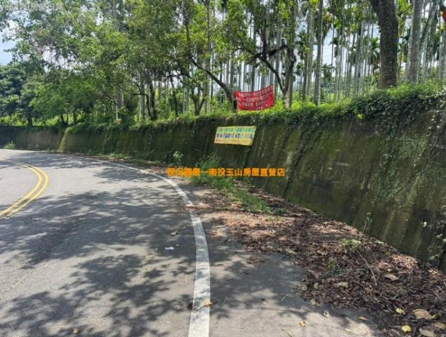 南投中寮農地-4
