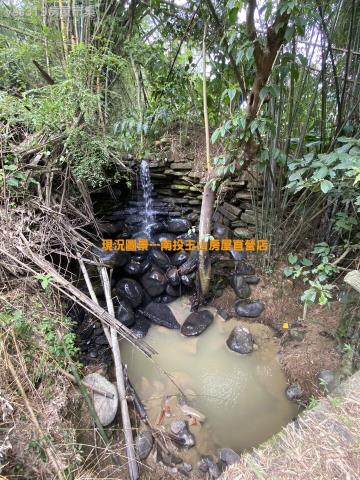 中寮農地-4