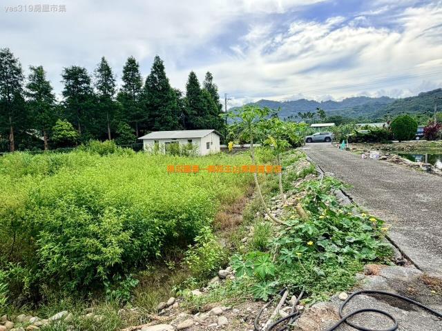 南投名間農地-3