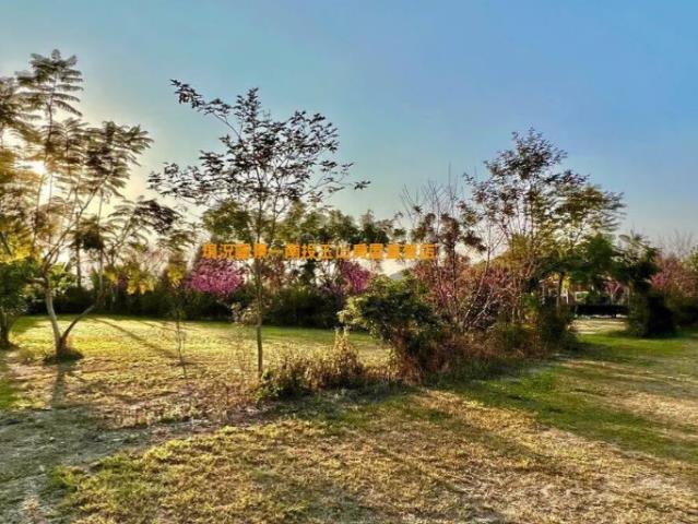 南投鹿谷農地-6