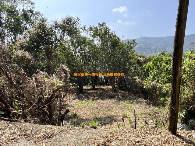 南投鹿谷農地-4