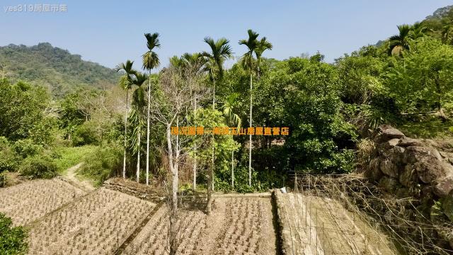 南投鹿谷農地-7