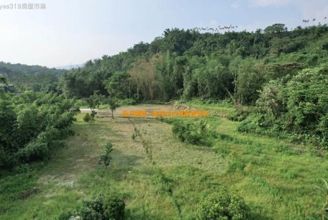 南投竹山農地-5