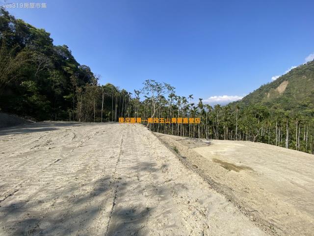 南投竹山農地-1