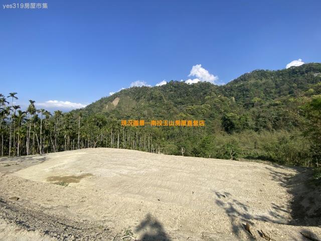 南投竹山農地-2