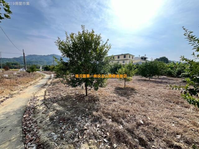名間農地-1