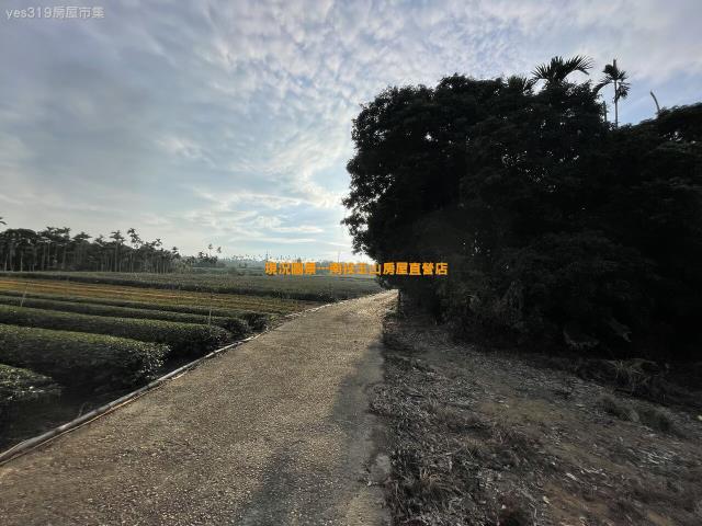 名間農地-0