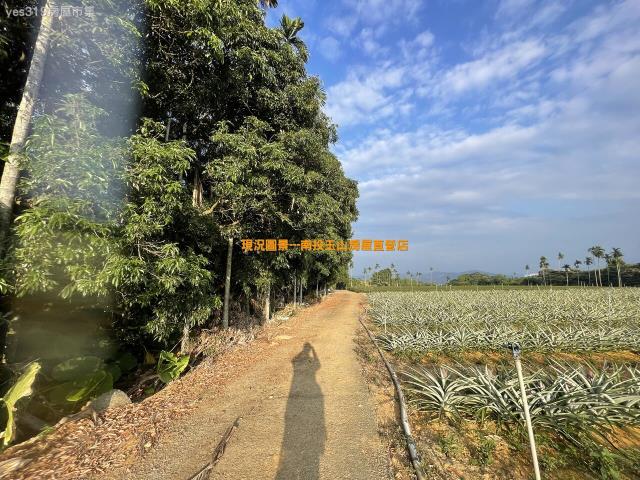 名間農地-3