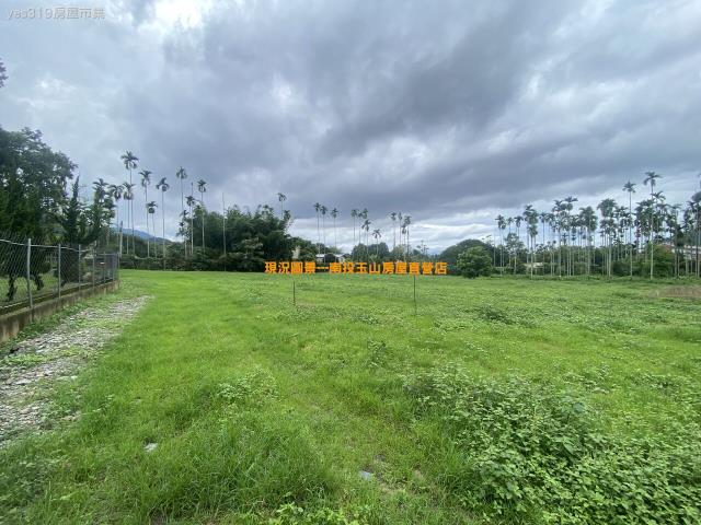 埔里農地-2