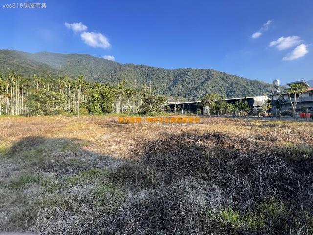埔里農地-3