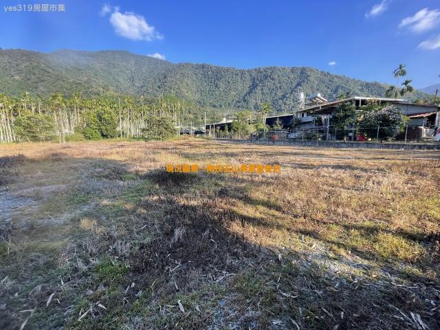 埔里農地-5