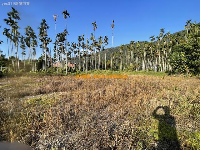 埔里農地-1