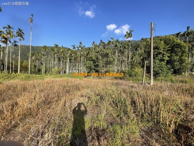 埔里農地-3