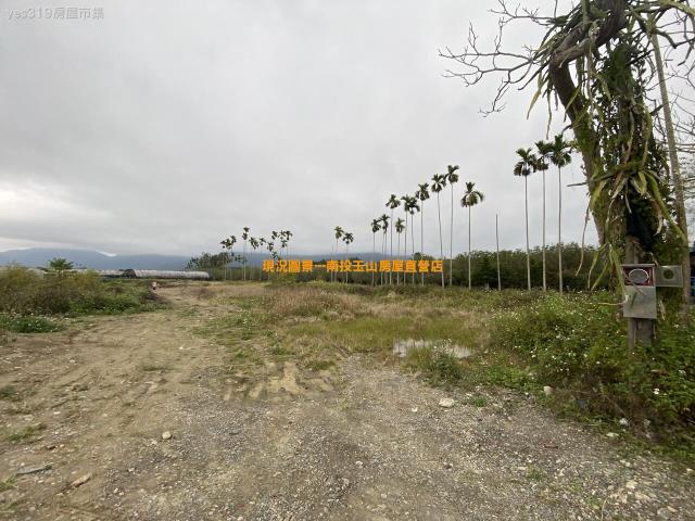埔里農地-1
