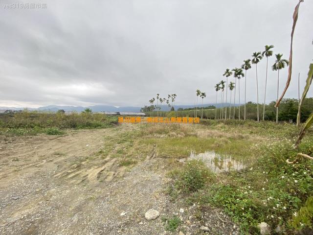 埔里農地-2