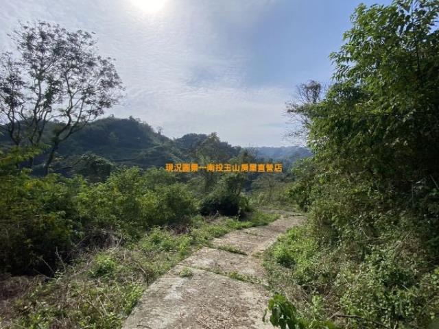 南投中寮農地-0