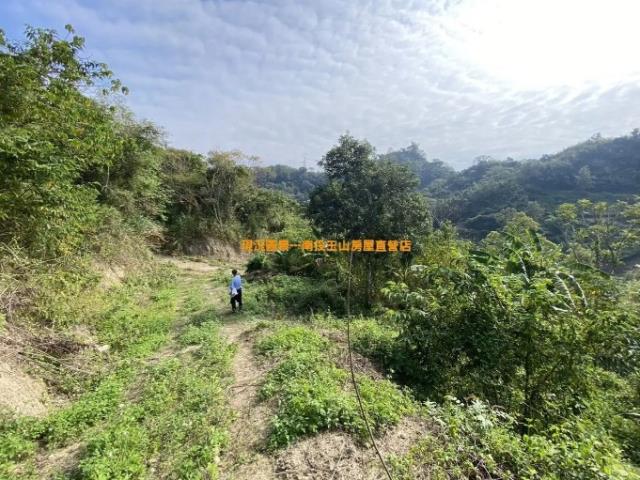 南投中寮農地-1