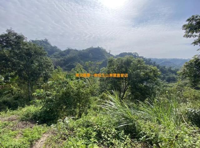 南投中寮農地-2