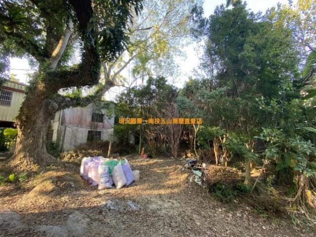 南投中寮農地-1