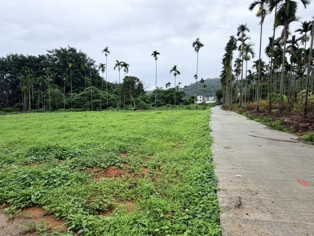 名間農地-1