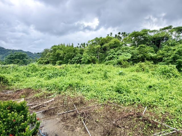 名間農地-2