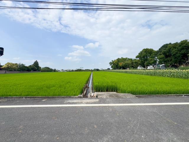 草屯農地-0