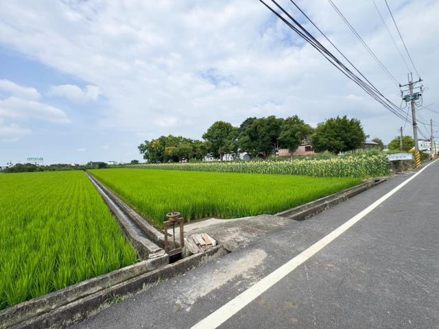 草屯農地-2
