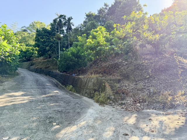 南投農地-12