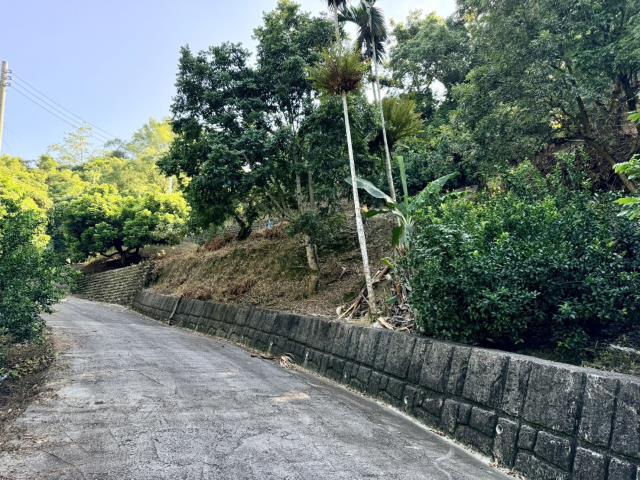 南投農地-14