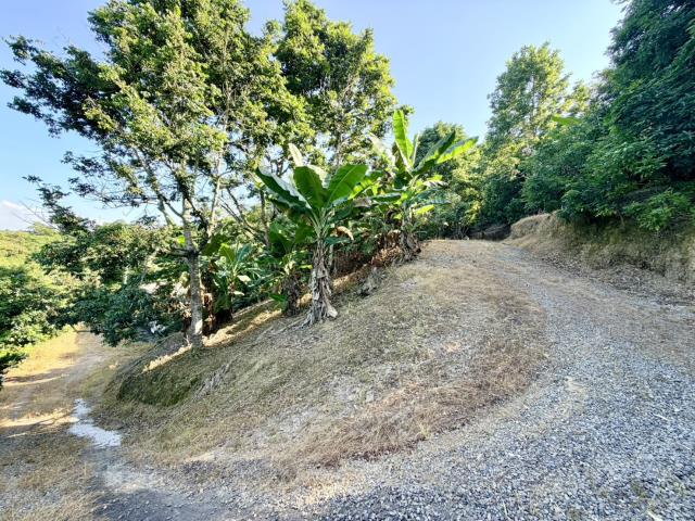 南投農地-2