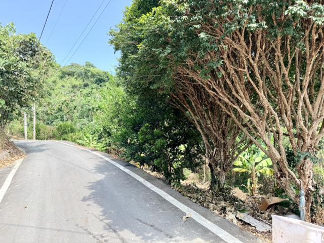 南投中寮農地-11