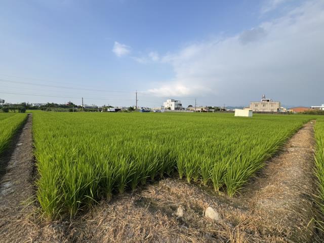 南投草屯農地-0