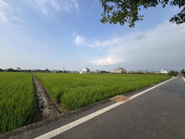 南投草屯農地-2