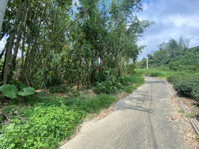南投竹山農地-0