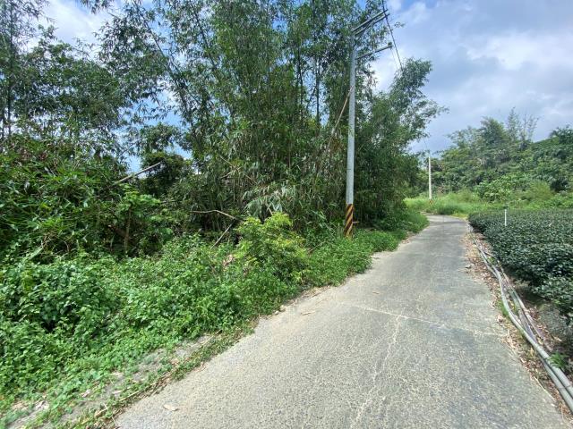 南投竹山農地-1