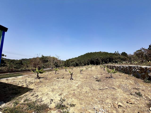 南投鹿谷農地-0